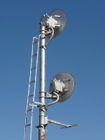 Searchlight's Back-Ends